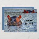 Search for hippo birthday invitations Wildlife
