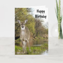 Search for deer dad cards Nature