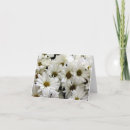 Search for ladybug note cards Garden