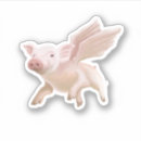 Search for flying pig stickers Funny