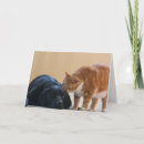 Search for pet rescue cards Charity