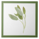 Search for sage green tiles Botanical