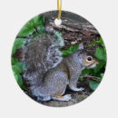 Search for squirrel ornaments Photography