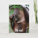 Search for senior citizens funny birthday cards Old age