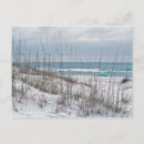 Search for sea oats postcards beach