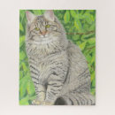 Search for maine coon cat puzzles Feline