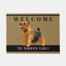 Search for norwich terrier Cute