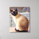 Search for siamese cat art Animal
