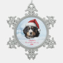Search for bernese mountain dog ornaments Santa