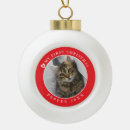 Search for kittens first ornaments Cat's first christmas
