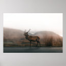 Search for vintage reindeer art Background