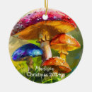 Search for mushroom ornaments Colorful