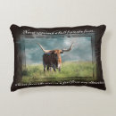 Search for longhorns pillows Farmhouse