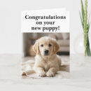 Search for pet rescue cards Puppy