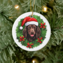 Search for boykin spaniel ornaments Xmas