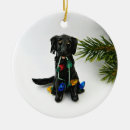 Search for flat coated retriever gifts Black