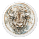 Search for whimsical knobs and pulls Nature