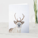 Search for reindeer cards Winter