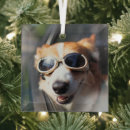 Search for corgi ornaments Queen's dog