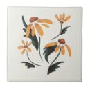 Search for black eyed susan Rudbeckia hirta