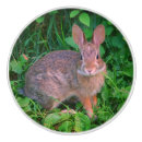 Search for rabbit knobs and pulls Wildlife