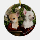 Search for chihuahua ornaments White