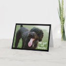 Search for 12th birthday cards Grandson