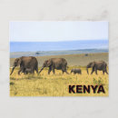 Search for kenya postcards Africa