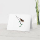 Search for sparrow cards Branch