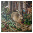 Search for rabbit tiles Forest