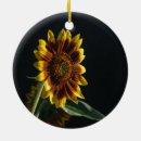 Search for new beginning ornaments Nature