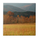 Search for mountain tiles Autumn