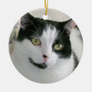 Search for black cat ornaments Tree