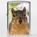 Search for trail mix Nature