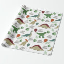 Search for neutral wrapping paper Rainbow