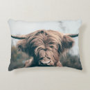 Search for cow pillows Highland cattle