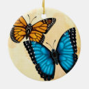 Search for blue butterfly ornaments Moth