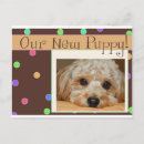 Search for new puppy announcement postcards Pet