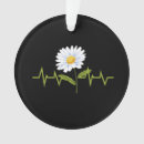 Search for daisy flower ornaments Garden