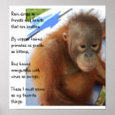 Search for wildlife conservation posters Animal