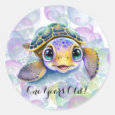 Search for turtle stickers Boy
