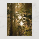 Search for oregon coast postcards Fog