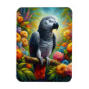 Search for flower magnets Colorful