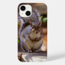 Search for squirrel gifts Animal