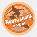 Search for hawaiian stickers Orange