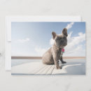Search for french bulldog thank you cards Animal