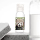 Search for cute hand sanitizers Kawaii