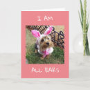 Search for yorkie birthday cards Friend
