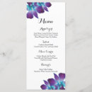 Search for peacock menus Turquoise