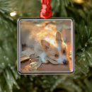 Search for corgi ornaments Puppy